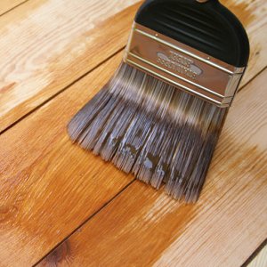 Treatment of the base of the building with an antiseptic